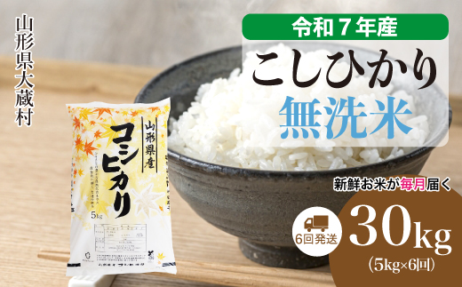 ＜令和7年産米＞ こしひかり 【無洗米】30kg定期便 (5kg×6回)　配送時期指定できます！