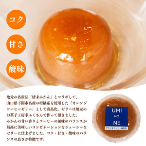 オレンジコーヒーゼリー 60g×6 | ゼリー ゼリー ゼリー ゼリー ゼリー ゼリー EW