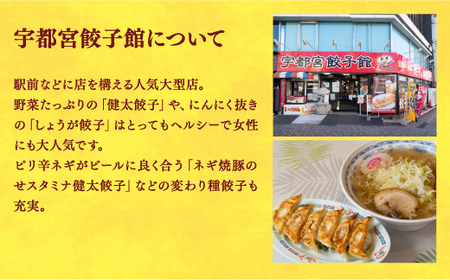 【宇都宮餃子館】　餃子32個入り