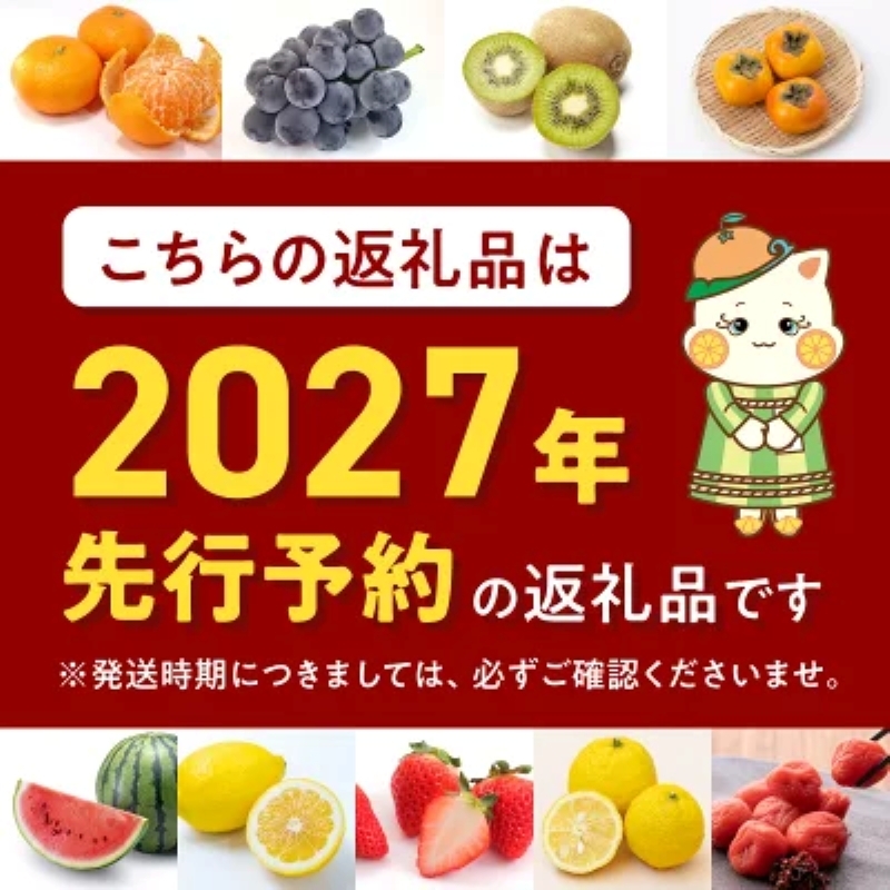 BL6175_【2027年1月下旬から順次発送】和歌山産　キウイフルーツ　約1.2kg　秀品_イメージ4