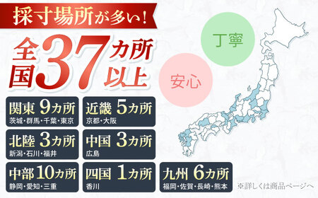 【御幸オリジナル生地】【全国30カ所以上で採寸可】【選べるオプション】特別仕立てイージーオーダーフォーマルスーツお仕立券＜御幸毛織＞[CAN024]