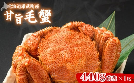 【北海道雄武町産】やわらか殻の甘旨毛蟹 440g前後1尾 | 毛ガニ カニ かに 蟹 殻付き 浜茹で ジューシー 海産物 海鮮 冷蔵 鮮度直送 柔らかい 食べやすい 蟹料理 ギフト おすすめ 贈答用 鮮魚 食材 海の幸 お取り寄せ 北海道 雄武町 雄武【07185】