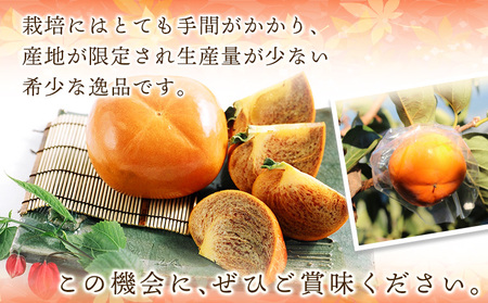 希少 紀の川柿 約1.8kg（種無し）秀選品 厳選館 【先行予約】《10月中旬-11月中旬頃出荷》 和歌山県 日高川町 柿 カキ かき 紀の川柿 平核無柿 ひらたねなしかき 樹上完熟 ジューシー フル