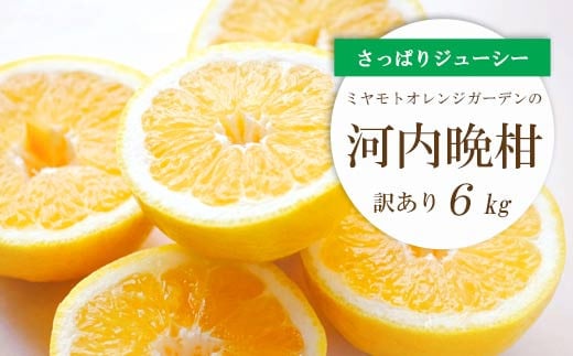 
C25-136.ミヤモトオレンジガーデンの「河内晩柑6kg」【訳あり】
