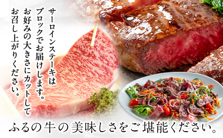 ふるの牛（黒毛和牛）特選サーロインブロック 2.6kg ゲランド塩付き A5 有限会社ふるの《30日以内に出荷予定(土日祝除く)》