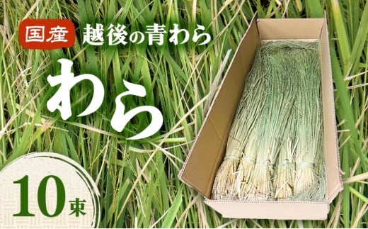 国産越後の青刈り わら10束 青わら しめ飾り インテリア ハンドメイド 国産 新潟 越後