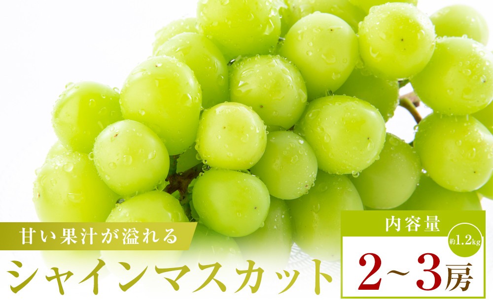 
                  シャインマスカット　約1.2kg(2～3房)
                