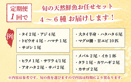 【定期便】全4回(3ヶ月毎発送)【加福鮮魚】「若狭小浜港産地直送」旬の天然鮮魚お任せセット！地魚 下処理済み 刺身 煮魚 焼き魚