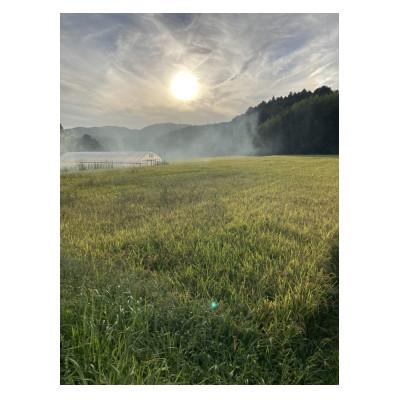 ふるさと納税 豊能町 さいわき農園のお米(精米)(キヌヒカリ)10キロ |  | 03