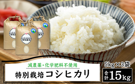 【先行予約】減農薬・化学肥料不使用 特別栽培コシヒカリ 5kg×3袋（計15kg）【2024年10月中旬から順次発送】[D-015001]