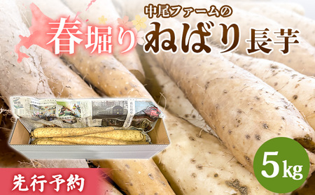 ※先行予約開始 【春堀り】中尾ファームのねばり長芋 5kg【34003】