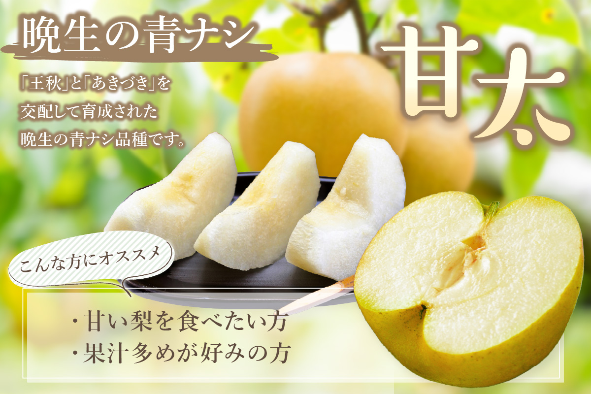 【2026年産先行予約】伊万里梨 「甘太」 約2.5kg ご自宅用におすすめ 178-B1072