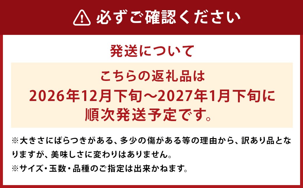 【訳あり】 長崎県時津町産 温州みかん（青島、大津他） 約5kg