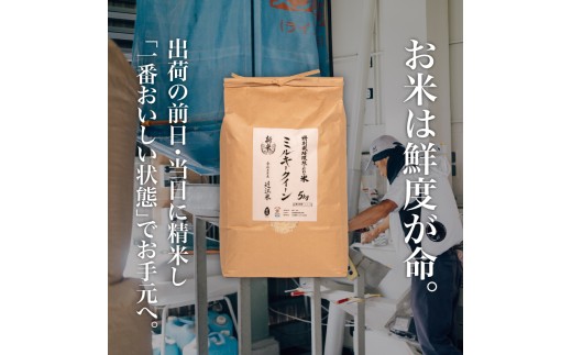 【 令和8年産 新米 】 ミルキークイーン 定期便 10kg × 12ヶ月 白米 玄米 化学肥料不使用 環境こだわり米 特別栽培米 国産 滋賀県 日野町 農家直送 米 産地直送 ふるさと納税