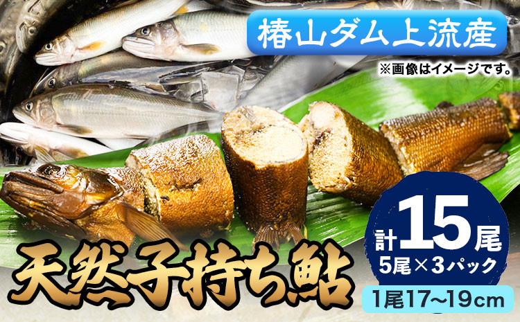 
                  日高川椿山ダム上流 天然子持ち鮎 17cm-19cm 5尾×3パック 計15尾  川漁師なおべ《10月下旬-1月上旬頃出荷》 和歌山県 日高川町 あゆ 鮎 天然鮎 魚
                