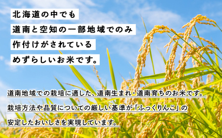 新米予約 【定期便3回】 ふっくりんこ 5kg 【JA新はこだて】 知内町 ふるさと納税 玄米 こめ 北海道産お米 北海道米 美味しいお米 北海道産米 ブランド米