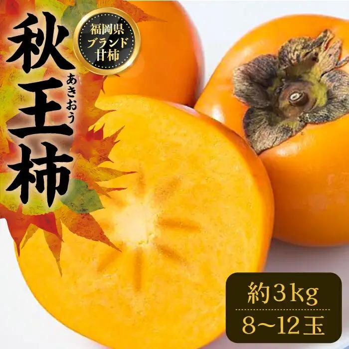 【先行予約】秋王柿 3kg 8-12玉 VBY007 たねなし柿