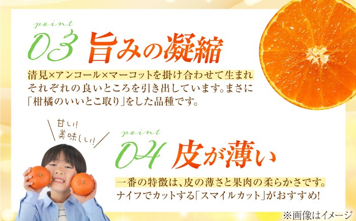 柑橘 蜜柑 みかん ミカン せとか 訳あり 訳アリ 3kg 小玉 愛媛