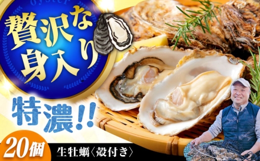【1月23日(土) 着】加熱用生牡蠣 殻付き 20個 広島県江田島市／有限会社テツマル海産[XCO006-013]