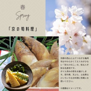 【4回定期便】京都・丹波 四季の味 2～4人前 年4回＜丹波四季菜料理 宮本屋＞