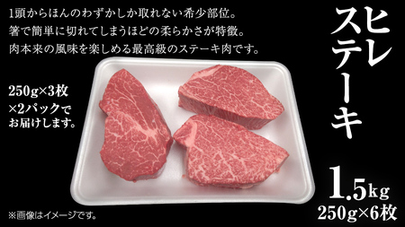 【 常陸牛 】 ヒレ ステーキ 250g × 6枚 (合計 1.5kg )（茨城県共通返礼品） 茨城県産 牛ヒレ肉 牛肉 ヒレ 牛ヒレ ステーキ 常陸牛 藤井商店
