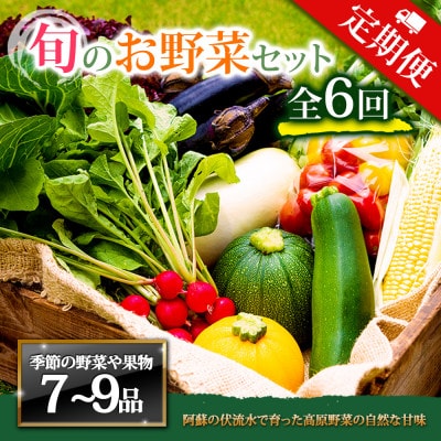 【毎月定期便】季節のお野菜セットLサイズ 旬のお野菜を厳選してお届け全6回【配送不可地域：離島】【4068281】