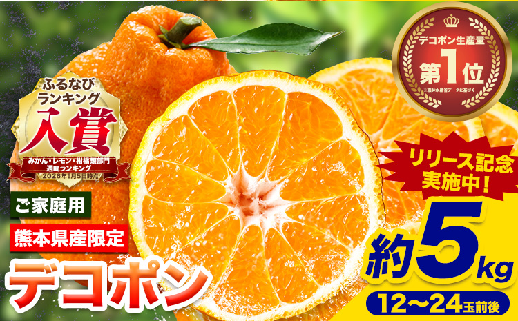 【先行予約】 デコポン ご家庭用 デコポン 約5kg 前後 (約12-24玉前後) 糖度13度以上 訳あり デコポン 《4月上旬-5月上旬頃出荷》 個別光センサー選果 みかん 柑橘 フルーツ 旬 不知火 でこぽん 期間限定 厳選---reihoku_loc_628_5kg---