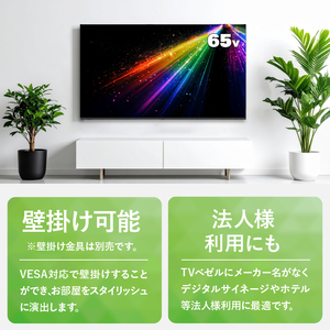 チューナーレステレビ 65V型 4K対応 テレビ