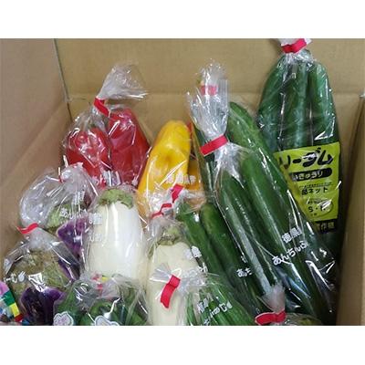 ふるさと納税 藍住町 徳島県藍住町　あんちゃんふぁーむの季節の新鮮野菜セット(5品目以上) |  | 03