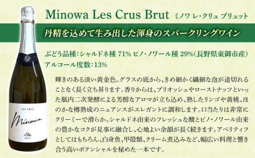 ※画像とはヴィンテージが異なる場合がございます