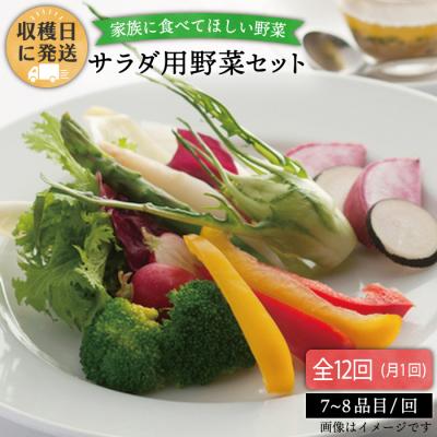 ふるさと納税 糸島市 【全12回定期便 】【福岡県糸島産】朝採れサラダ用野菜セット[AGE011]