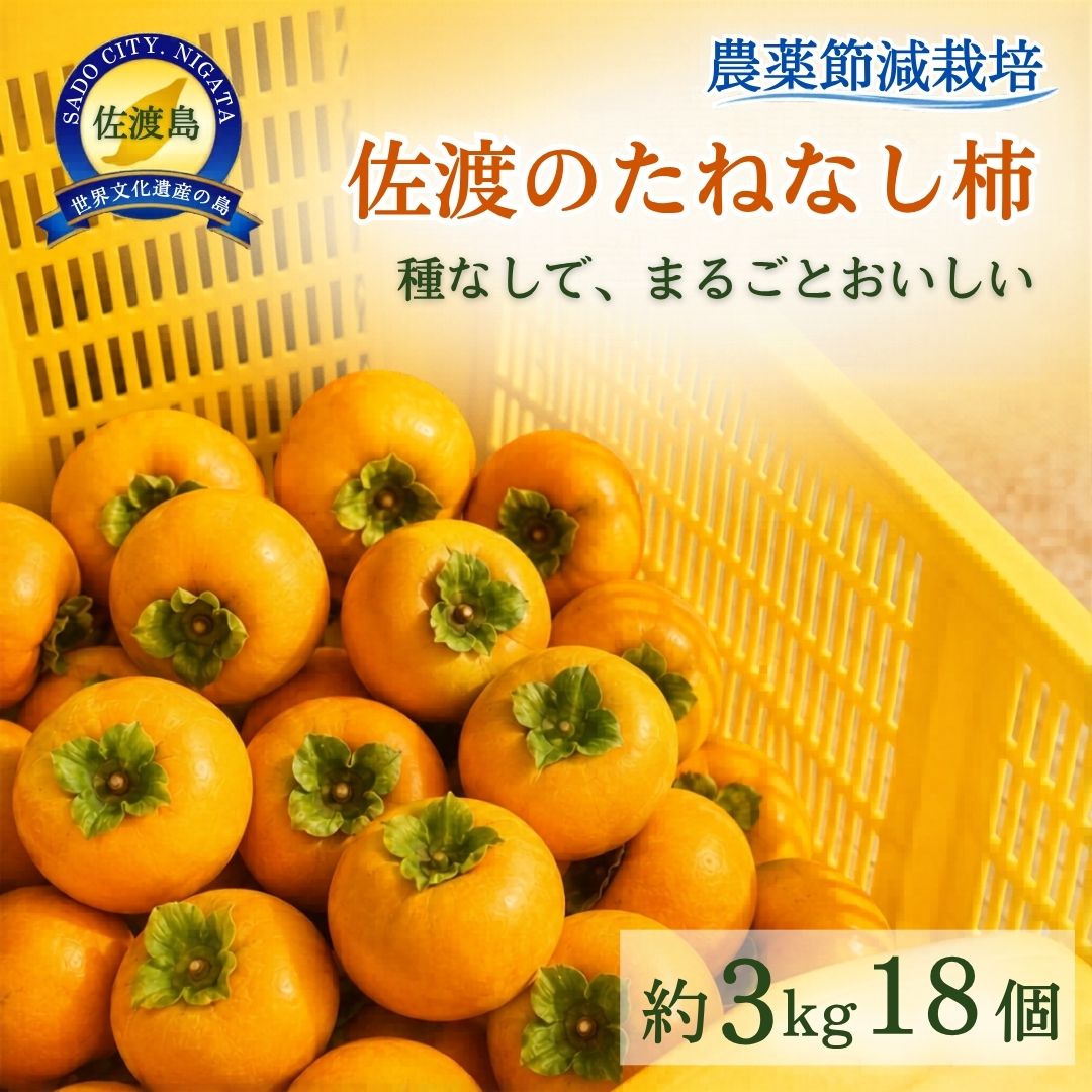 【ふるさと納税】柿 たねなし柿 3kg／5kg 選べる 佐渡産 ひらたねなし LMサイズ 農薬節減栽培 しまの柿 かき 果物 フルーツ 秋の味覚 デザート 新潟県 佐渡市