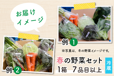 【先行予約】農家直送 春野菜セット 1箱 7品目以上 《元気に育った新鮮野菜！》※2024年4月下旬以降順次発送／ 季節 春 野菜 ボックス BOX セット セレクト 農家 おまかせ 多品目 旬 詰め