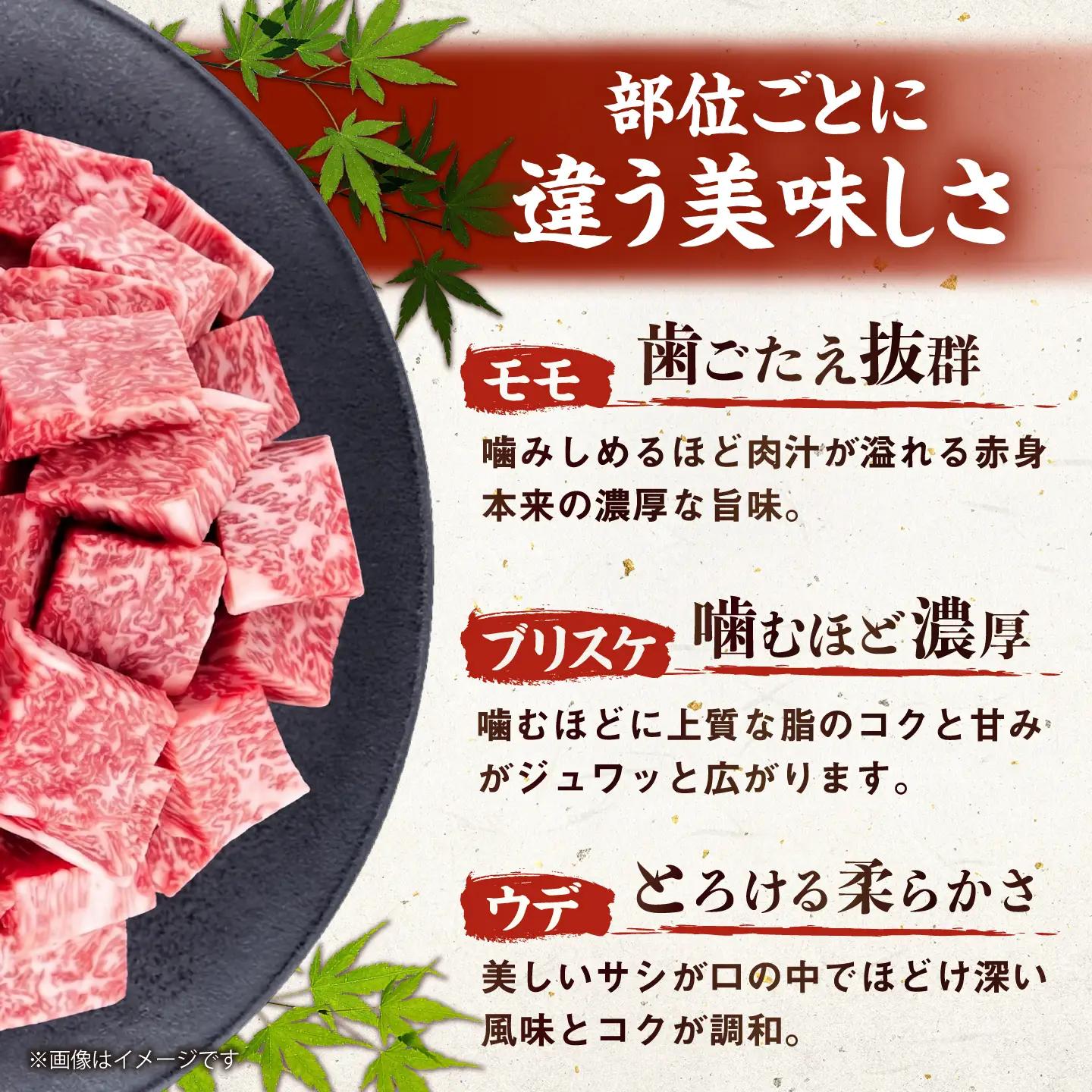厳選佐賀牛 赤身サイコロステーキ500g / 有限会社片岡精肉店 [41AEAC016]