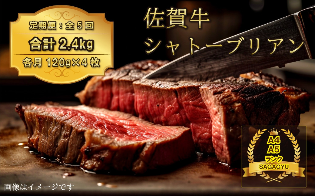 
            【定期便】5回お届け【鶴商興産】肉類／国産黒毛和牛 佐賀牛ヒレ シャトーブリアン 合計2.4kg(120g×4枚×5回)
          