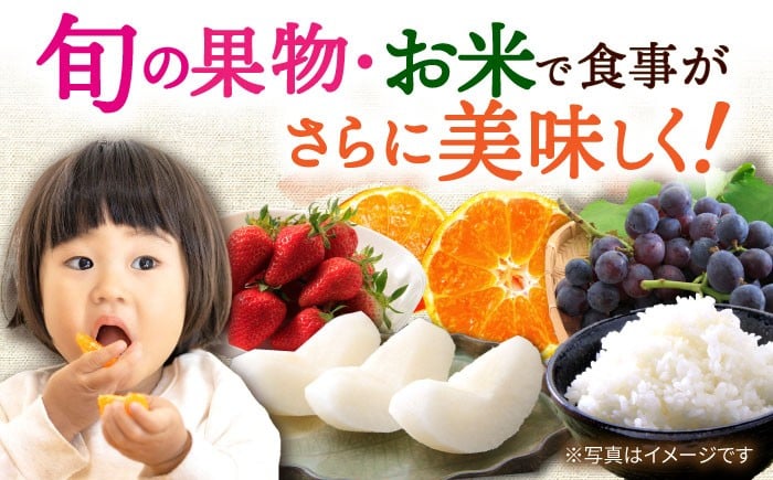 いちご 苺 ぶどう 梨 なし お米 米 ごはん みかん 果物 フルーツ 