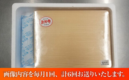 【全6回定期便】【数量限定】【GI認証】くまもとあか牛サーロインステーキ 約200g×3枚 / 菊陽町 あかうし 熊本県 肉 にく niku ブランド 旨み【有限会社 三協畜産】[BHAS067]