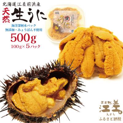 ふるさと納税 江差町 江差前浜産 生うに 500g 海洋深層水パック(無添加・みょうばん不使用)