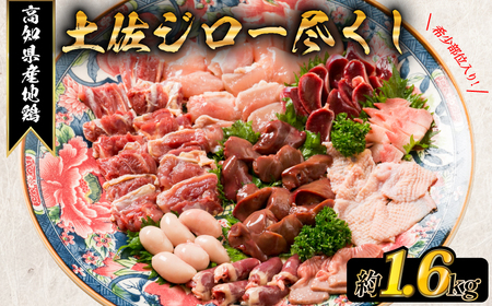 「土佐ジロー」地鶏 尽くしセット 1.6kg 地鶏 成熟 歯ごたえ やみつき 冷凍