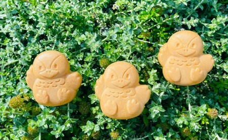 和菓子 かもなか 12個入 最中 鴨プロジェクト 抹茶餡 ほうじ茶餡 伝統 お菓子 菓子 おやつ デザート スイーツ もなか 福岡 福岡県 小郡市