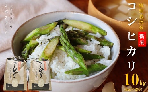 【令和7年産・精米】大沼ファームの特別栽培米コシヒカリ10kg※10月中旬頃から順次配送予定