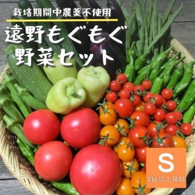 ふるさと納税 遠野市 夏野菜セット 8種 Sサイズ 栽培期間中農薬不使用 岩手県 遠野市 遠野もぐもぐカントリー