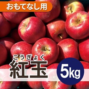 【12月出荷予定】 紅玉 約5kg おもてなし用【配送不可地域：離島・沖縄県】【1667978】