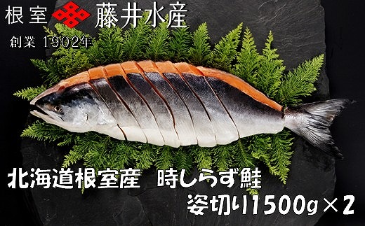
            D-42074 【北海道根室産】時しらず鮭切身1.5kg×2P
          