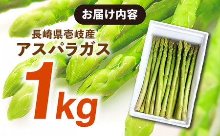 野菜 アスパラガス 壱岐産 1kg（L~2Lサイズ）《壱岐市》【壱岐市農業協同組合】[JBO004] アスパラ 13000 13000円