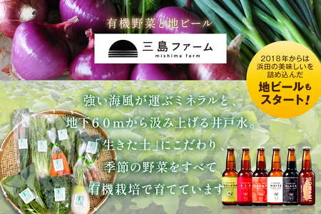朝採り新鮮！有機野菜セット詰合せ（7～9種類）6回コース【定期便】 定期便 採れたて 産地直送 葉物 有機JAS認証 野菜セット 旬の野菜 野菜【139_1920】
