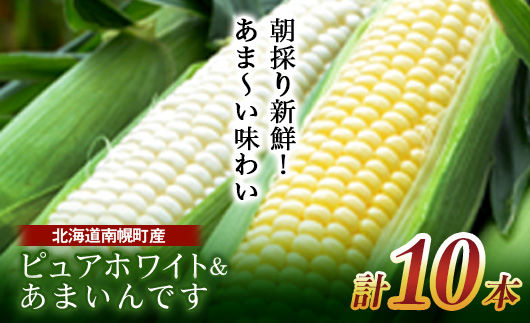 令和8年発送 北海道産 とうもろこし 食べ比べ ピュアホワイト5本＆あまいんです5本 朝採れ 一番果 生食 産地直送 数量限定 期間限定