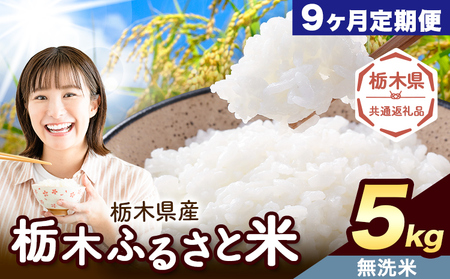 【9ヶ月定期便】栃木 ふるさと米 無洗米 5kg《お申込み翌月から出荷》おこめ【栃木県共通返礼品】