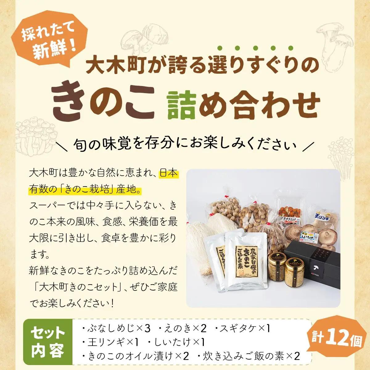 大木町きのこ食べつくしセット　【AZ03】