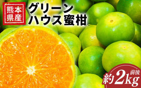 熊本県産グリーンハウス蜜柑 約2キロ前後 果物 フルーツ みかん 蜜柑 ミカン ハウスみかん グリーンハウス 約2kg前後 常温 熊本県産  【2026年7月上旬発送開始】